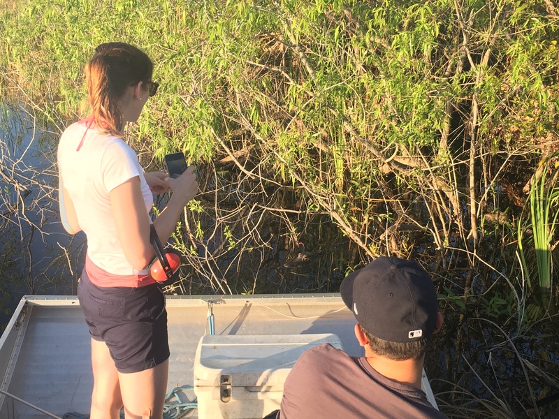 airboat tour miami beach